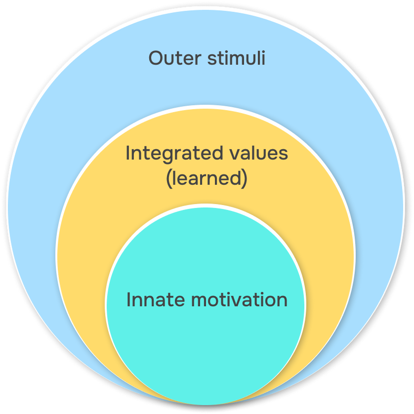 Outer stimuli, Integrated values(learned), Innate motivation